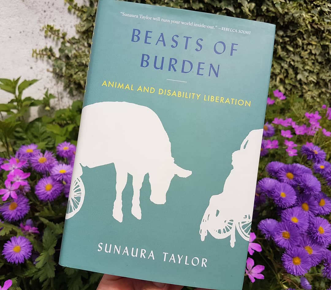 Book review of Beasts of Burden (Sunaura Taylor) – Animal Liberation  Currents – Crip HumAnimal